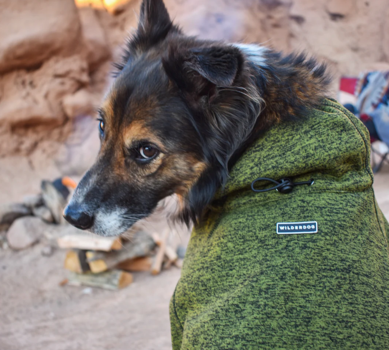 DOG FLEECE