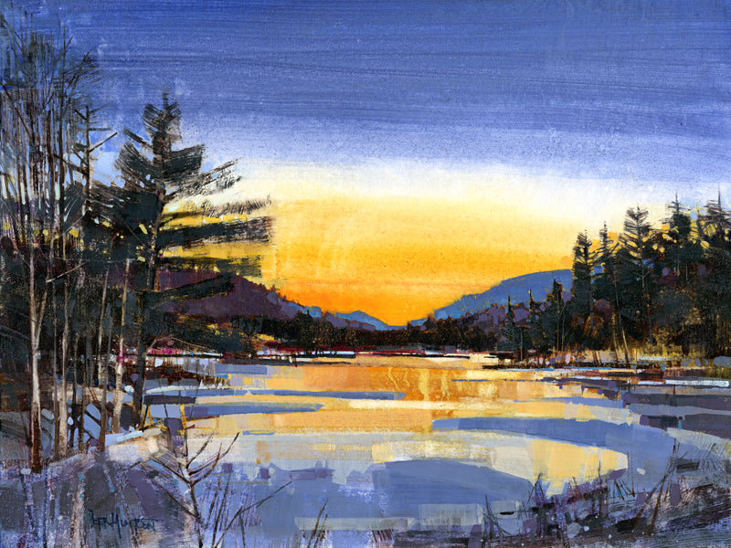 PETER HUNTOON TINMOUTH TWILIGHT ARTWORK